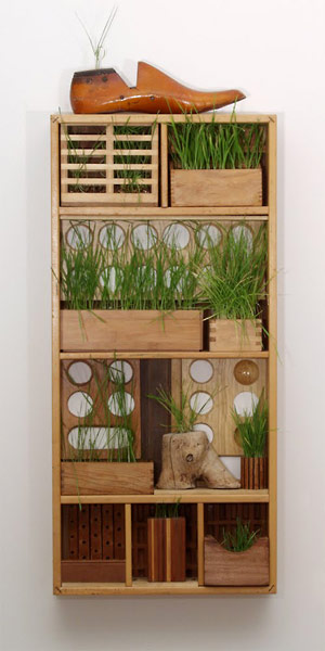 Grass Box 1